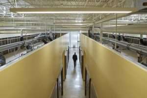 Providence Health Care West Olympia Clinic mechanical mezzanine