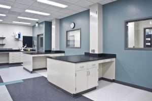 Seagen Laboratory benches