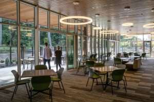 DaVita Corporate Office dining tables and outdoor dining area, Federal Way, WA