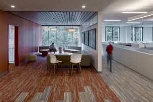 DaVita Corporate Office seating area and work area with people, Federal Way, WA