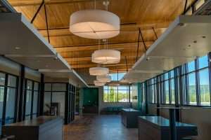 WSECU Building interior, showing circular drop lights, daylight through windows, and warm wood roof.