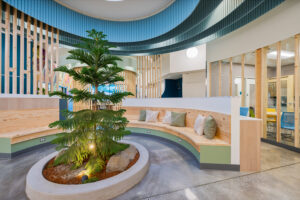 A small spruce tree grows from an indoor planter surrounded by circular bench seating.