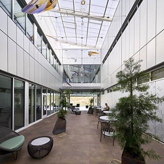 A skylight-covered courtyard with small trees and seating.