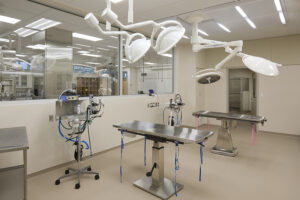 A veterinary procedure room with stainless steel tables, lights suspended overhead, and viewing windows.